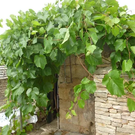 Сasa de vacaciones Secluded House With A Parking Space Cove Stratincica, Korcula - 13430 Vela Luka